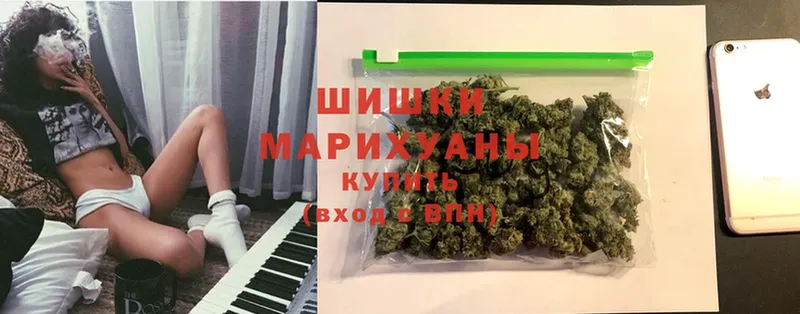 где найти наркотики  Соликамск  Шишки марихуана THC 21% 